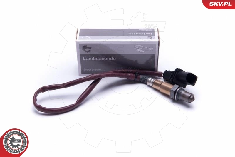 Oxygen Sensor